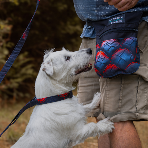 Holster Dragon – Image 2