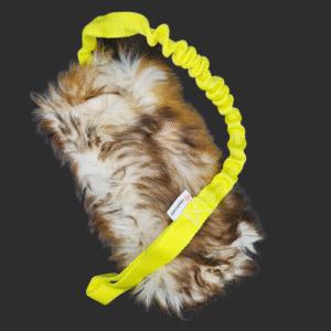 Tug Mouton Sheep Toy M